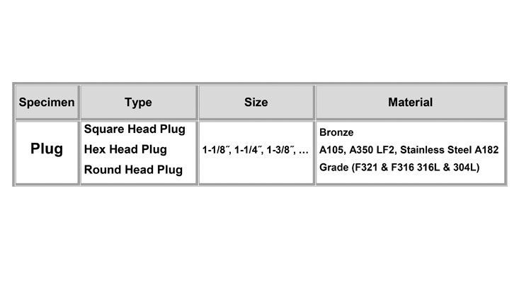 plugs specification